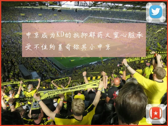 申京成为KD的抗抑郁药火蜜心脏承受不住约基奇称其小申京