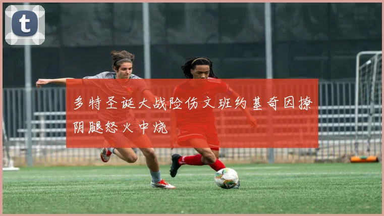 多特圣诞大战险伤文班约基奇因撩阴腿怒火中烧